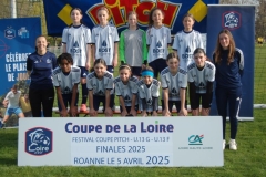 STF-U13F